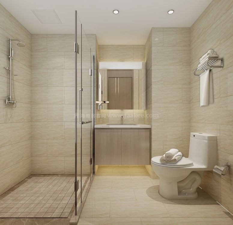 D1户型次卫效果图