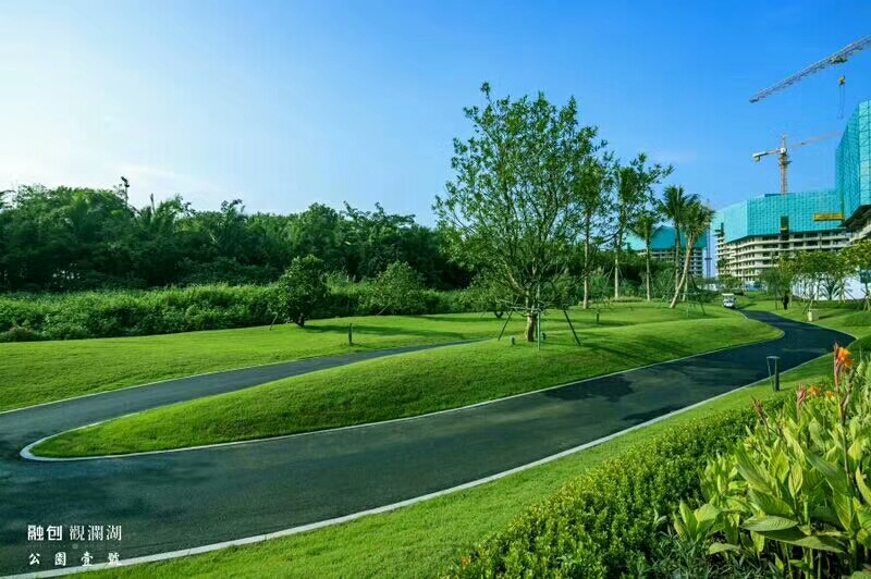 观澜湖公园壹号效果图