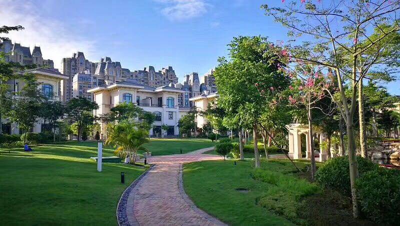 恒大金碧天下实景图