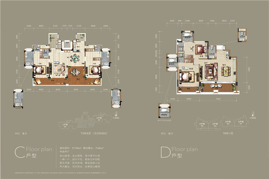 五期天琴海岸两房两厅C、D户型2室2厅2 