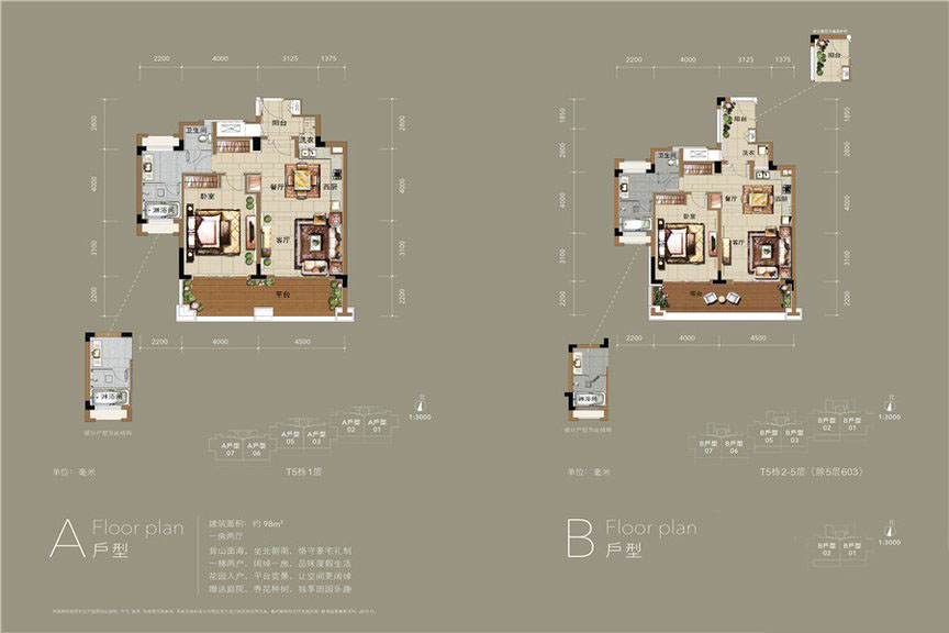 五期天琴海岸一房两厅A、B户型1室2厅1