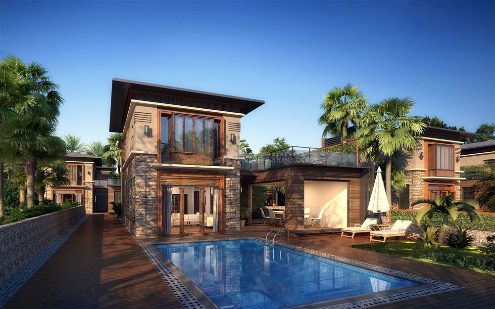 四期林屿墅别墅D户型效果图