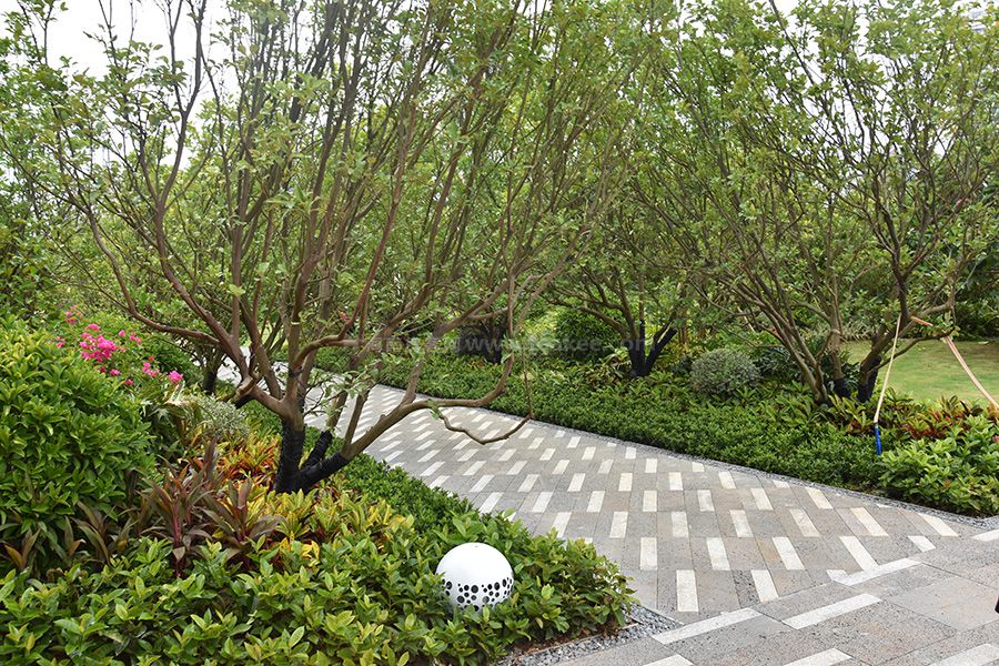 中海神州半岛实景图