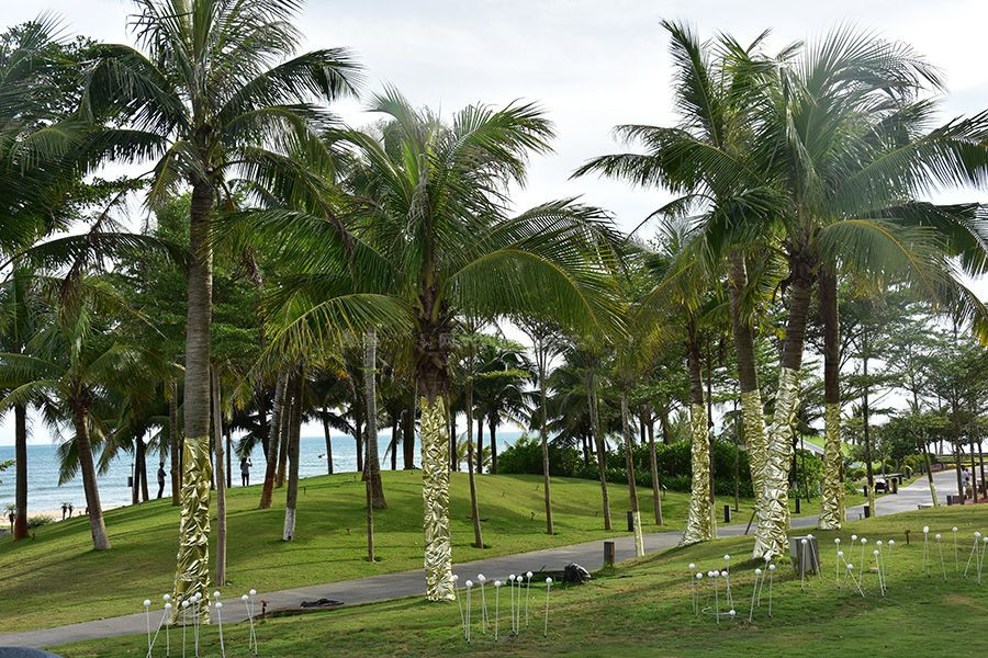 中海神州半岛实景图
