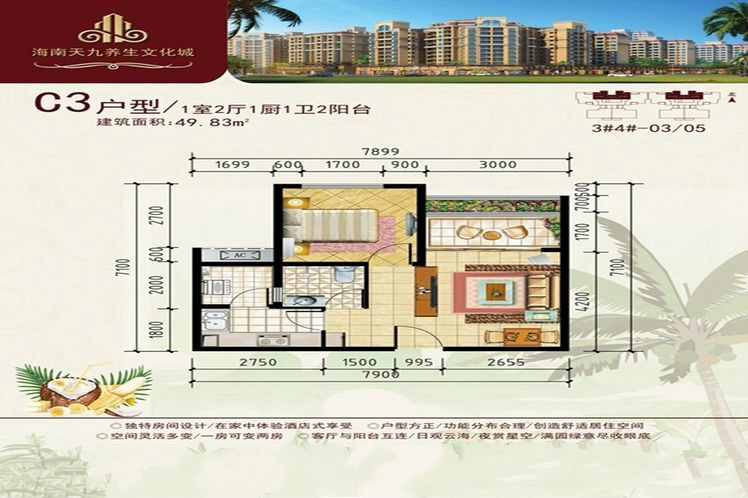 C3户型1室2厅1卫1厨49.83㎡ 