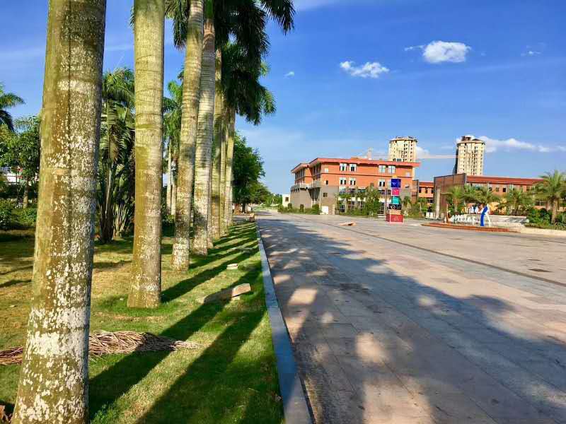 天合养生公馆实景图