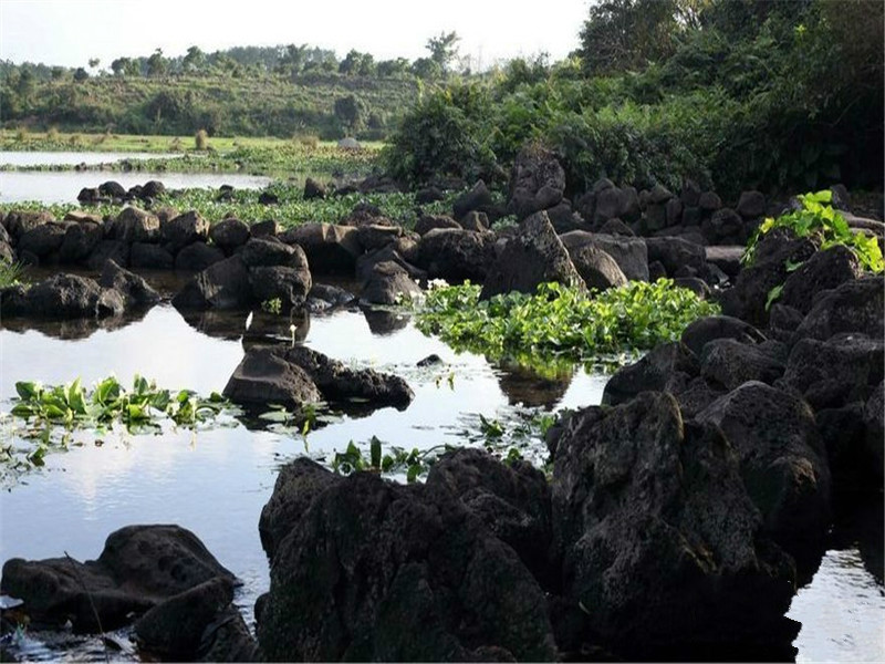 天合养生公馆周边配套 