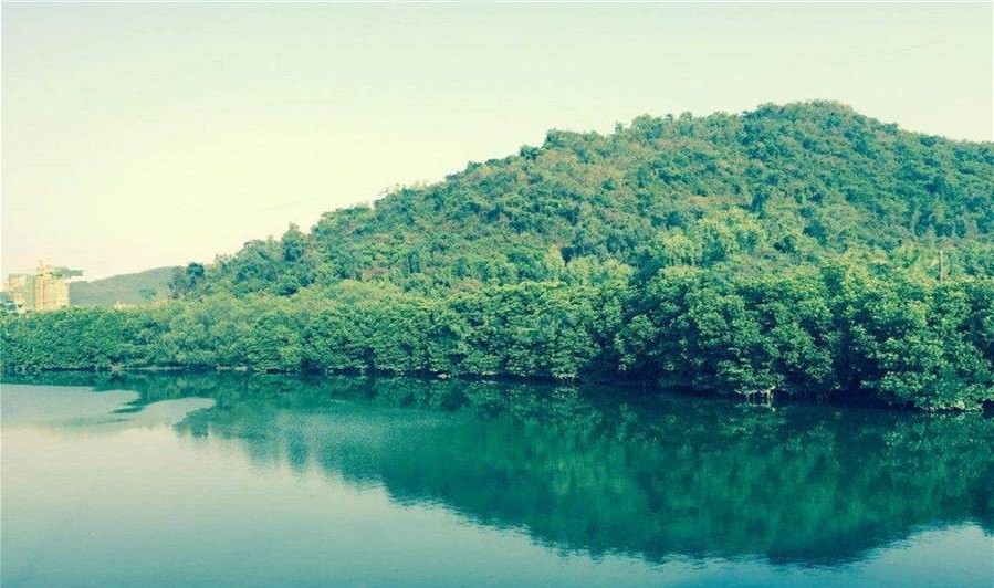 天悦湖畔实景图