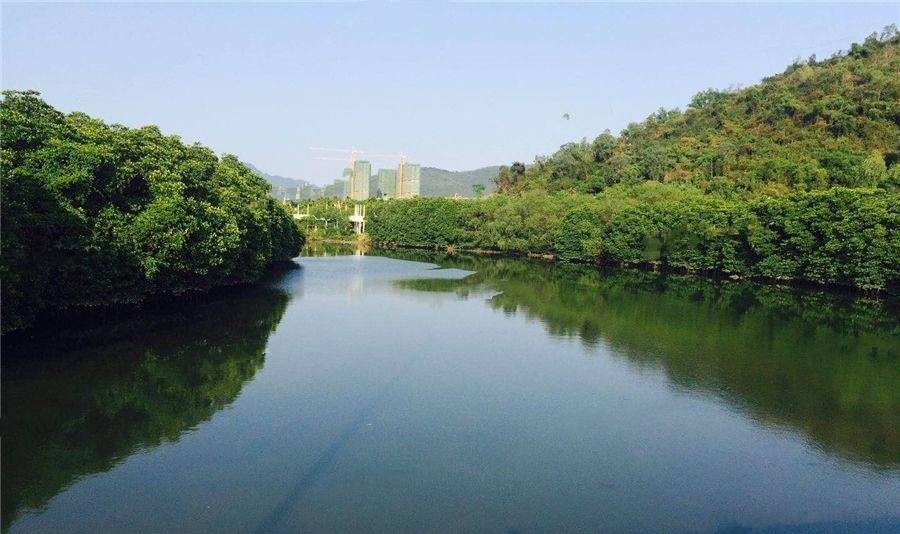 天悦湖畔实景图