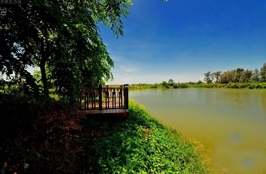 开维生态城实景图