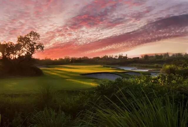 观澜湖·观悦实景图