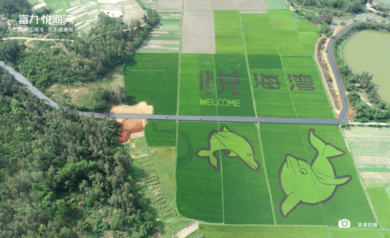 富力悦海湾实景图9