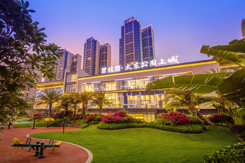 大东公园上城17