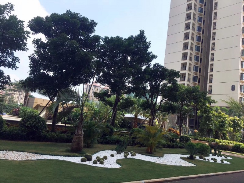 滨江花园实景图5