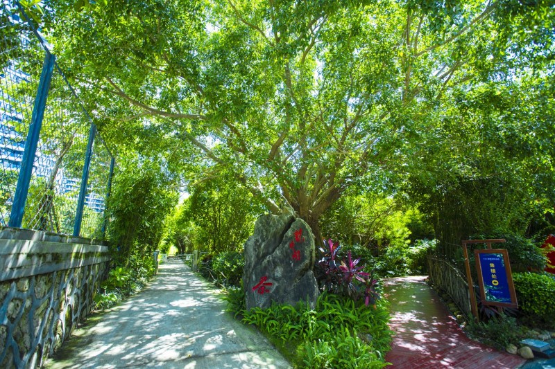 万科度假公园实景图1