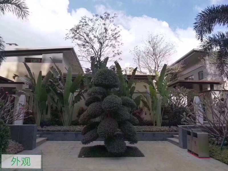 雅居乐清水湾别墅实景图1