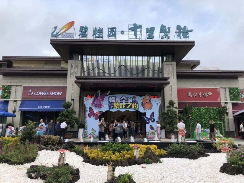 十里繁花实景图1