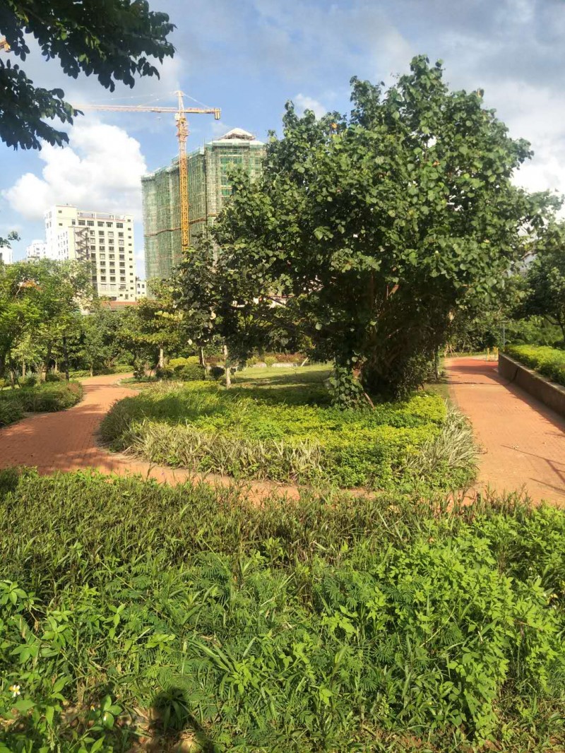 美伦水岸花园实景图3