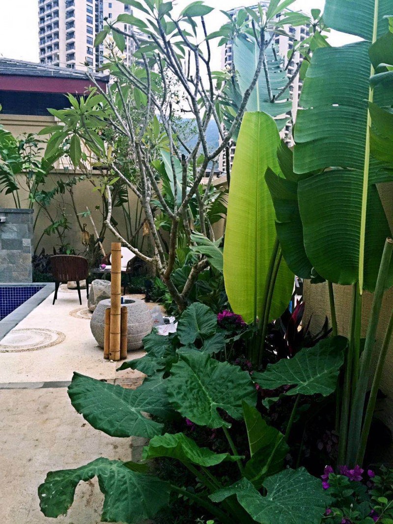 鸿坤·山海墅实景图4