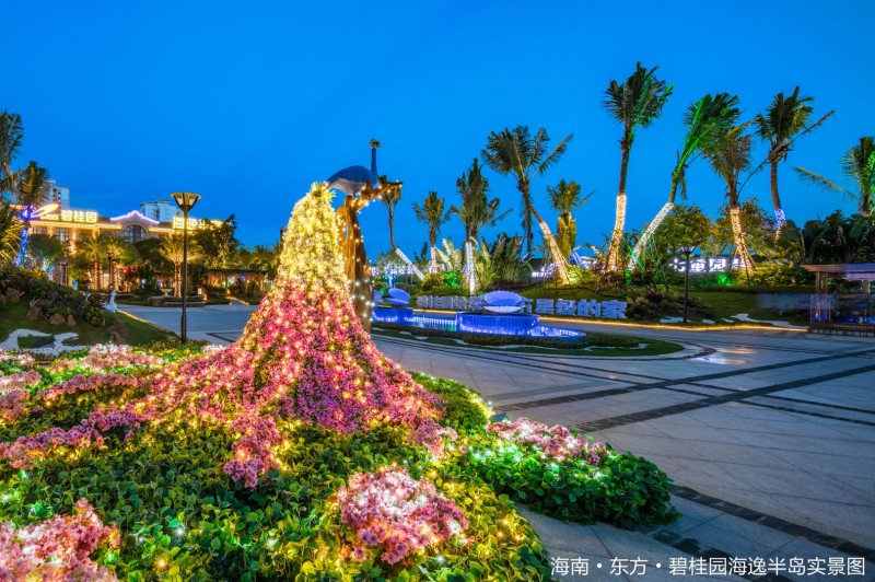 碧桂园海逸半岛实景图4