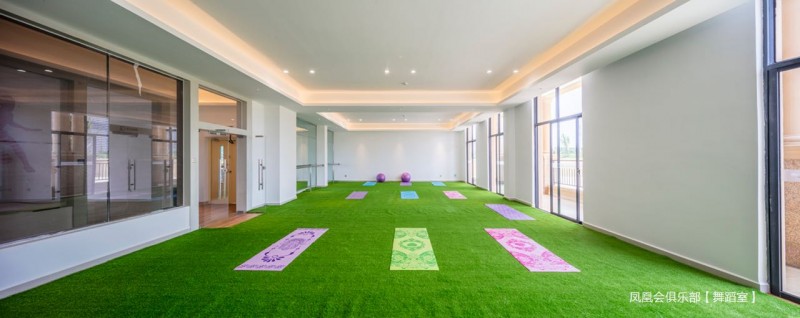 碧桂园海逸半岛实景图10