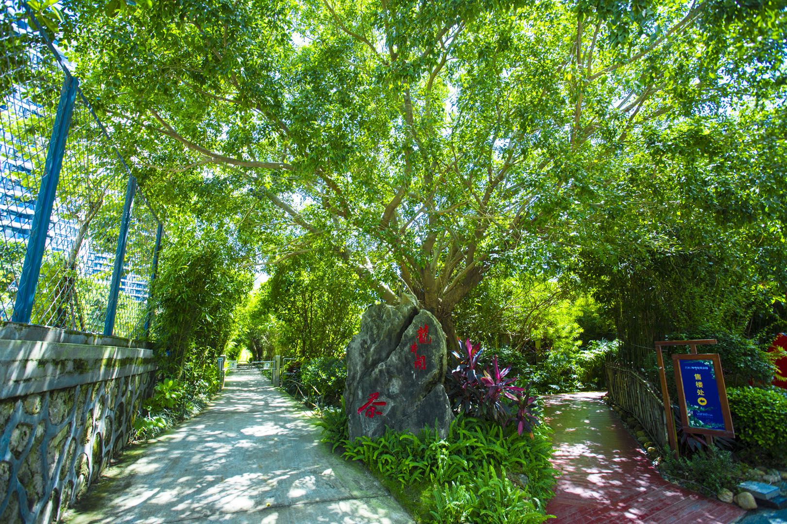 万科湖畔度假公园实景图 