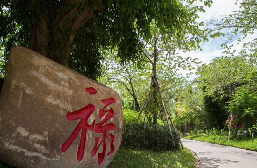 万科湖畔度假公园实景图