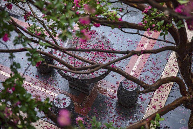 华皓亚龙府实景图7