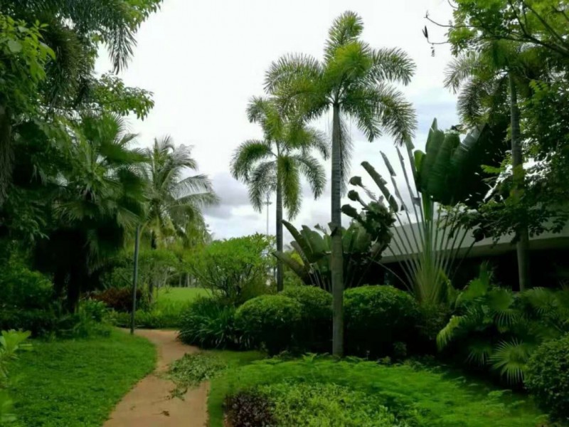 清水湾智汇城雲尚实景图1