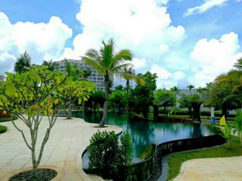 清水湾智汇城雲尚实景图4