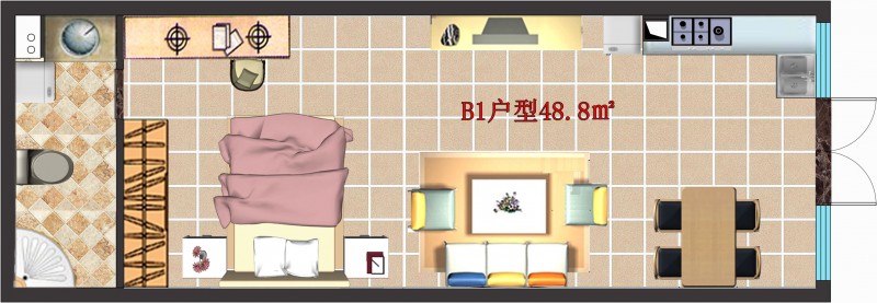 B1单间户型：48.8㎡