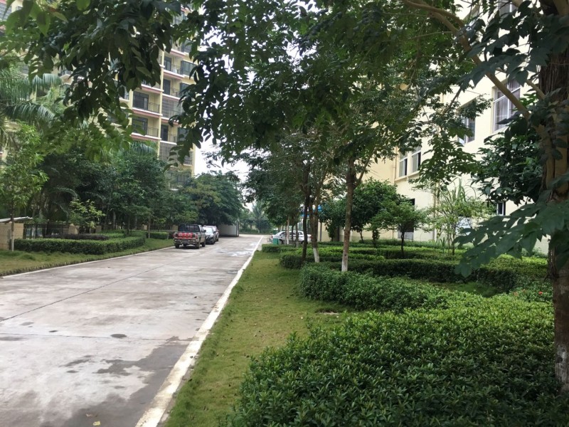 丽景阳光周边配套6