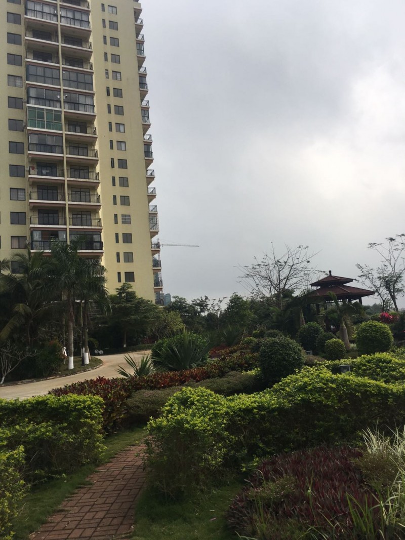 丽景阳光周边配套10