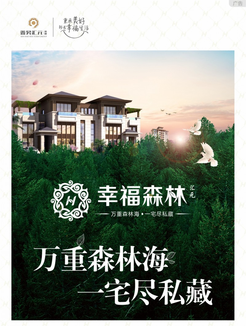 幸福森林广告图.webp