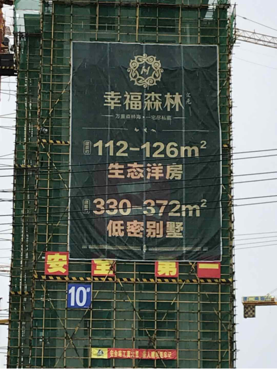 汇元·幸福森林实景图