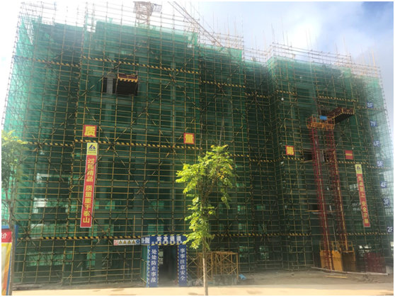 汇元·幸福森林实景图