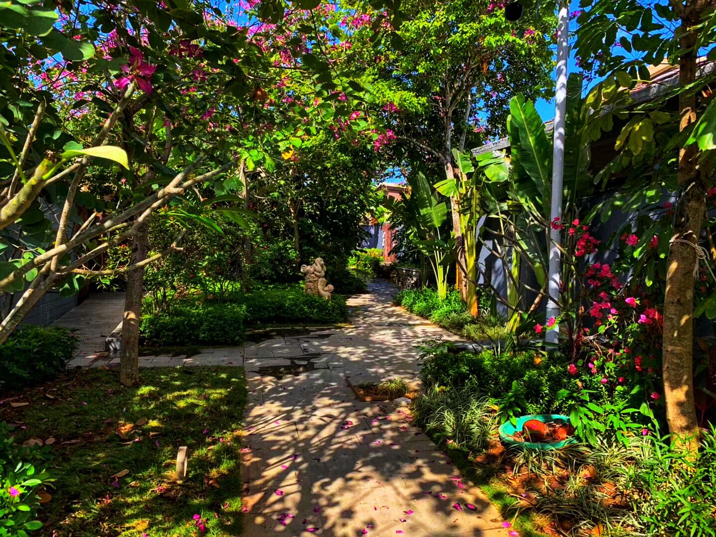 国家海岸·保利海棠湾实景图