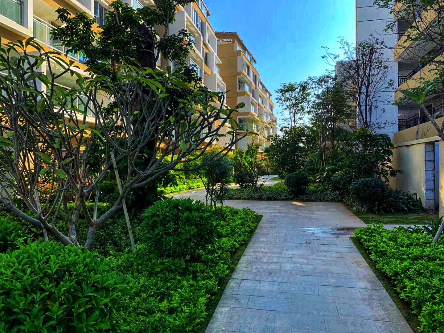 国家海岸·保利海棠湾实景图