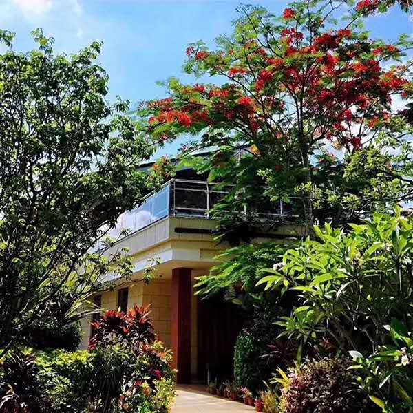 石梅半岛实景图