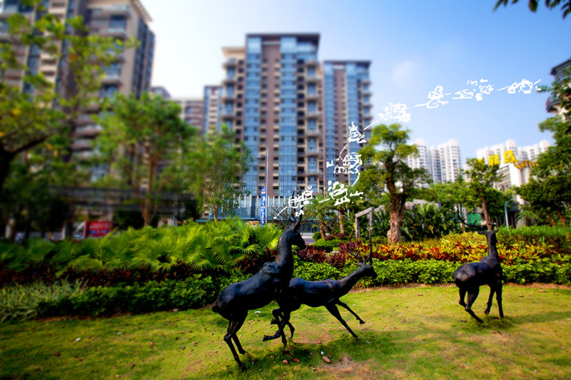 碧桂园·滨江海岸实景图