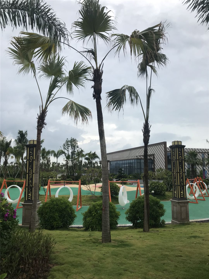 佳源•金月湾周边配套