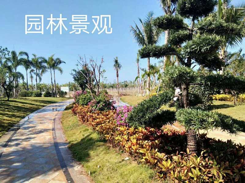 佳源•金月湾实景图