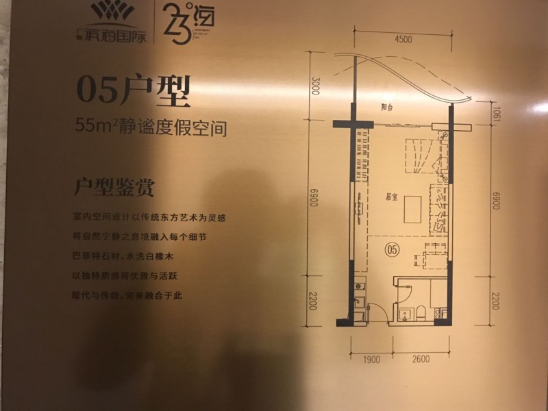 碧桂园滨海国际05户型