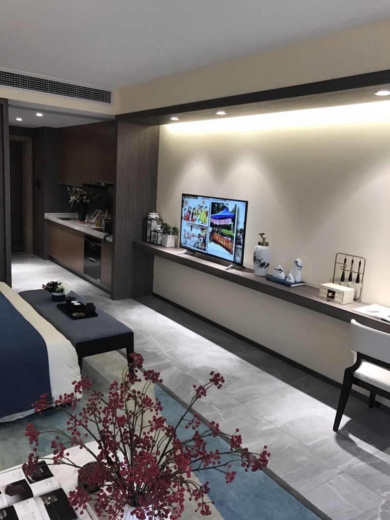 碧桂园滨海国际05户型样板间6