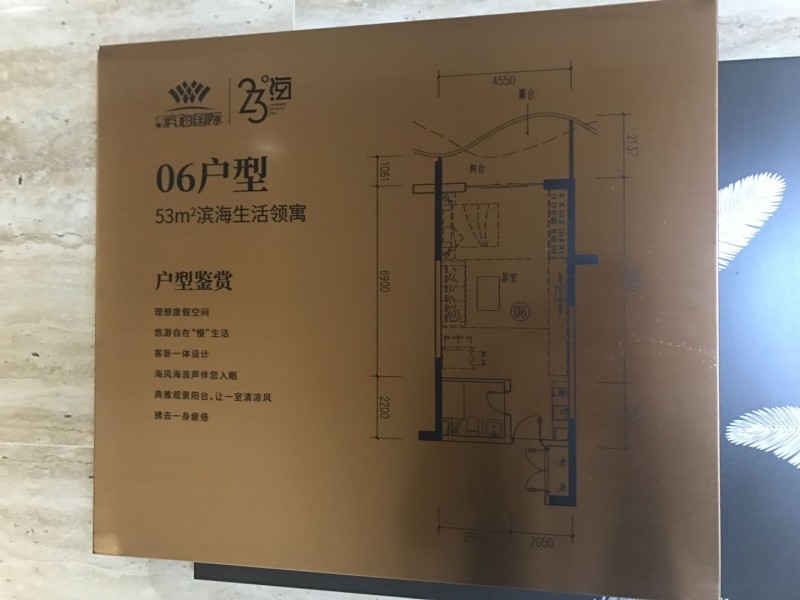 碧桂园滨海国际06户型