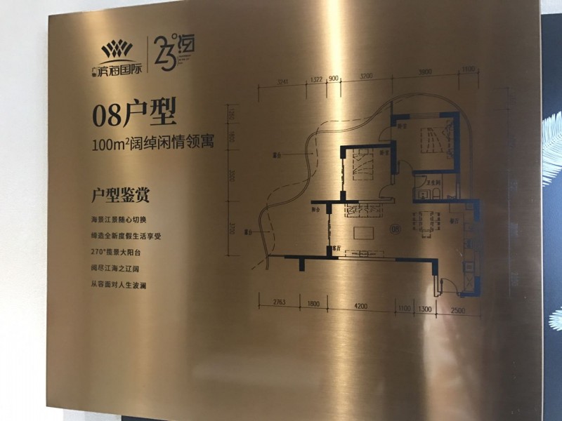 碧桂园滨海国际08户型
