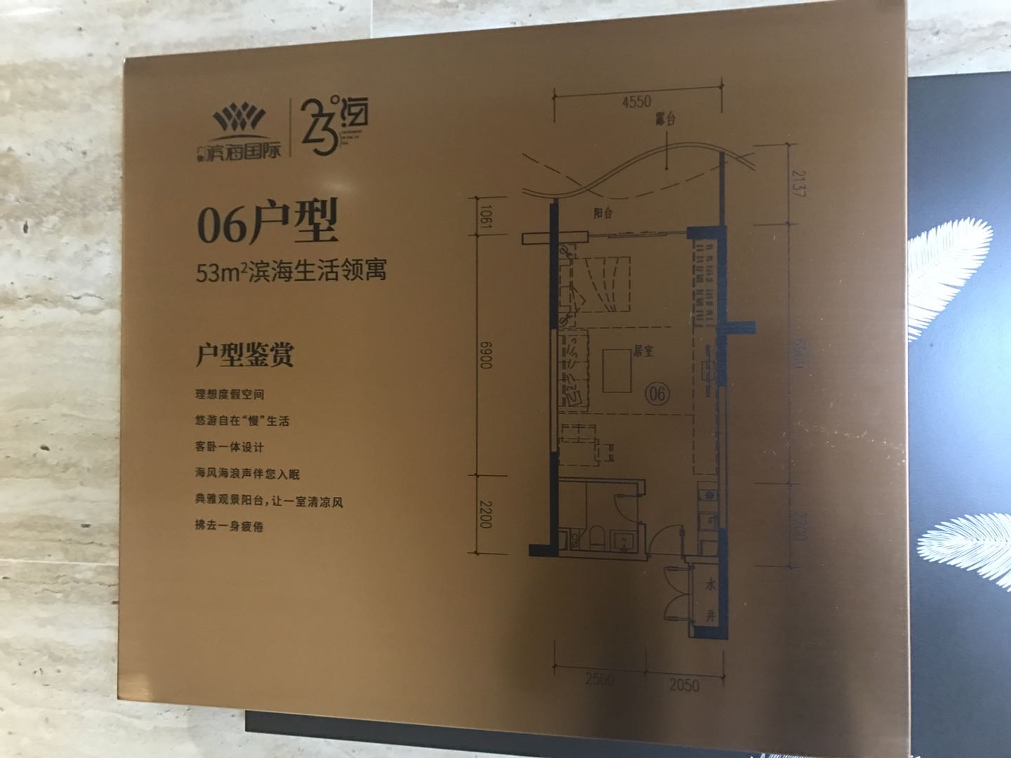 碧桂园滨海国际06户型