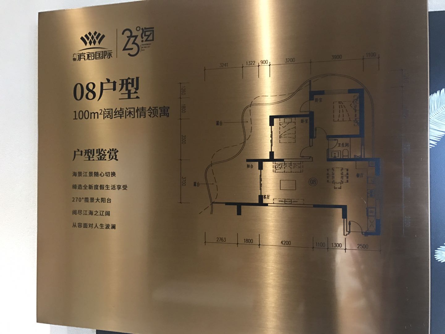 碧桂园滨海国际08户型