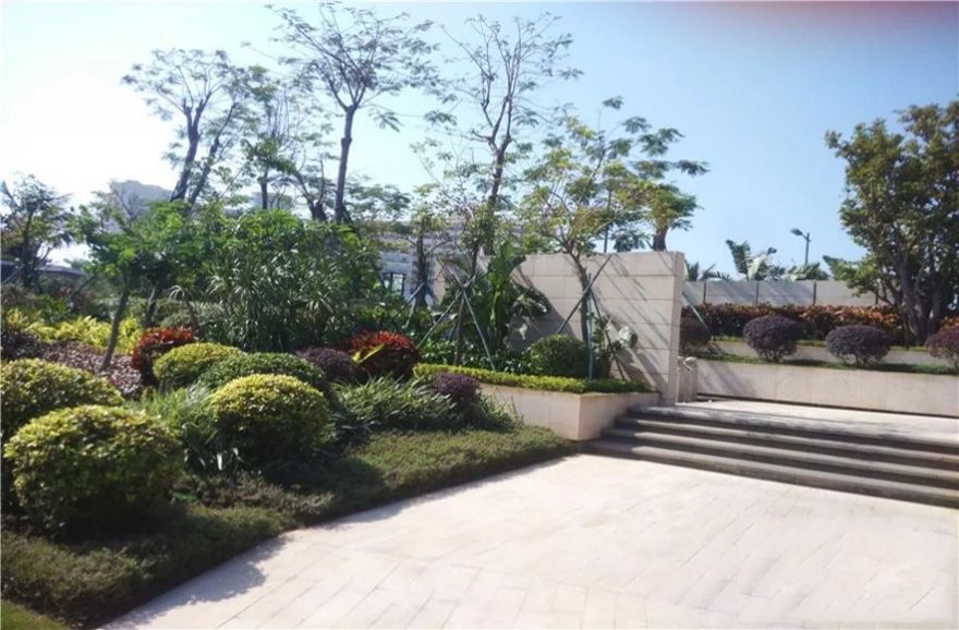 碧桂园滨海国际实景图