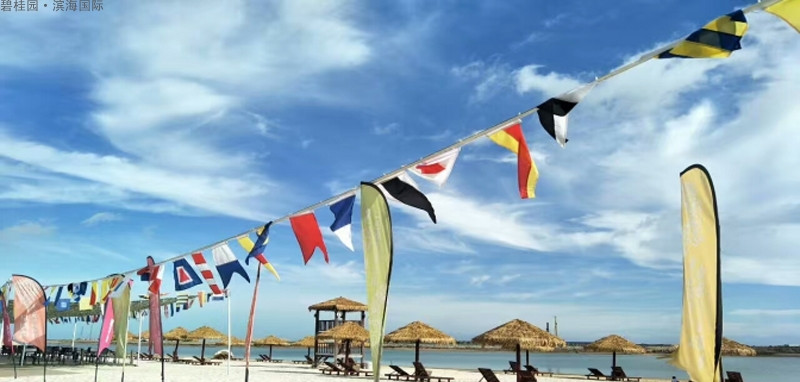 碧桂园滨海国际实景图